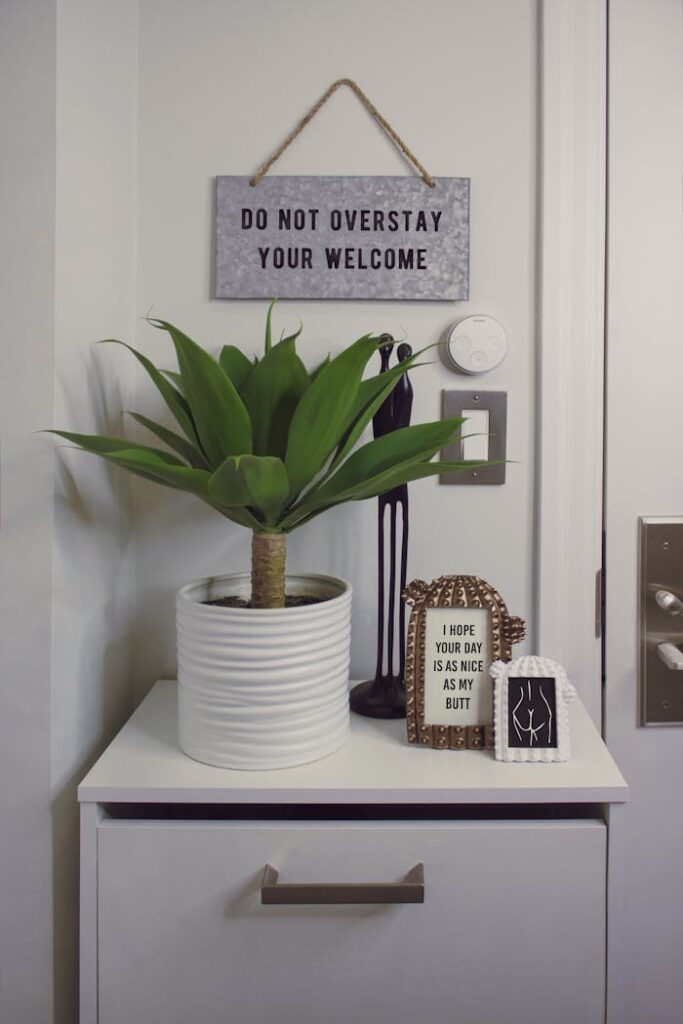 Modern home decor featuring a potted plant and humorous signs on a minimalist shelf.